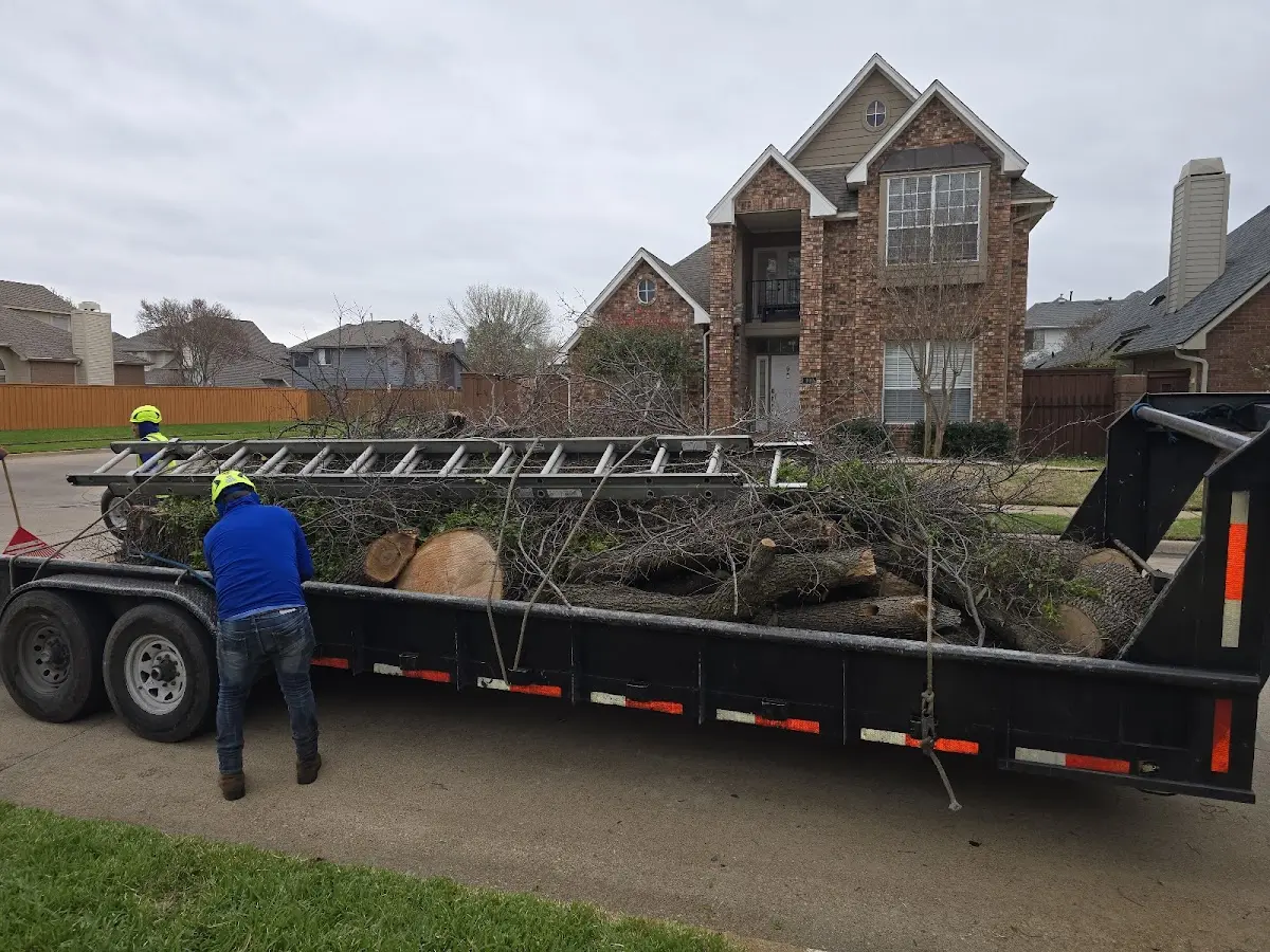 Expert Lot Clearing with proper safety equipment in Bode